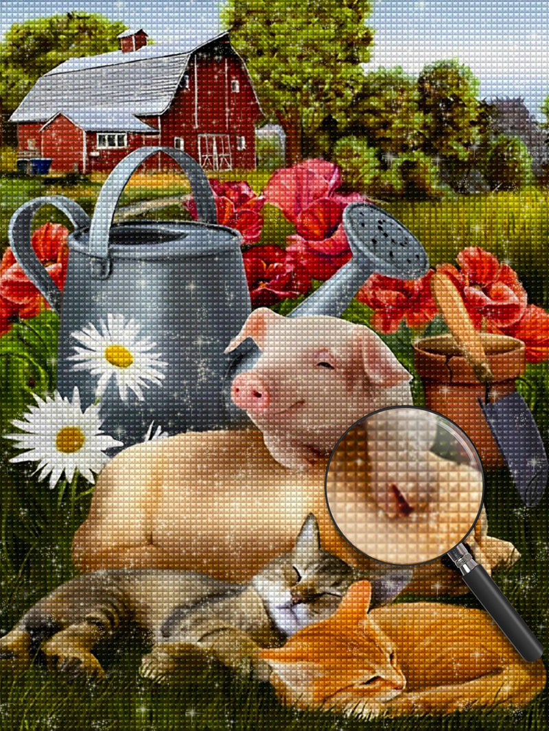 Schwein, Hund und Katze auf dem Bauernhof Diamond Painting