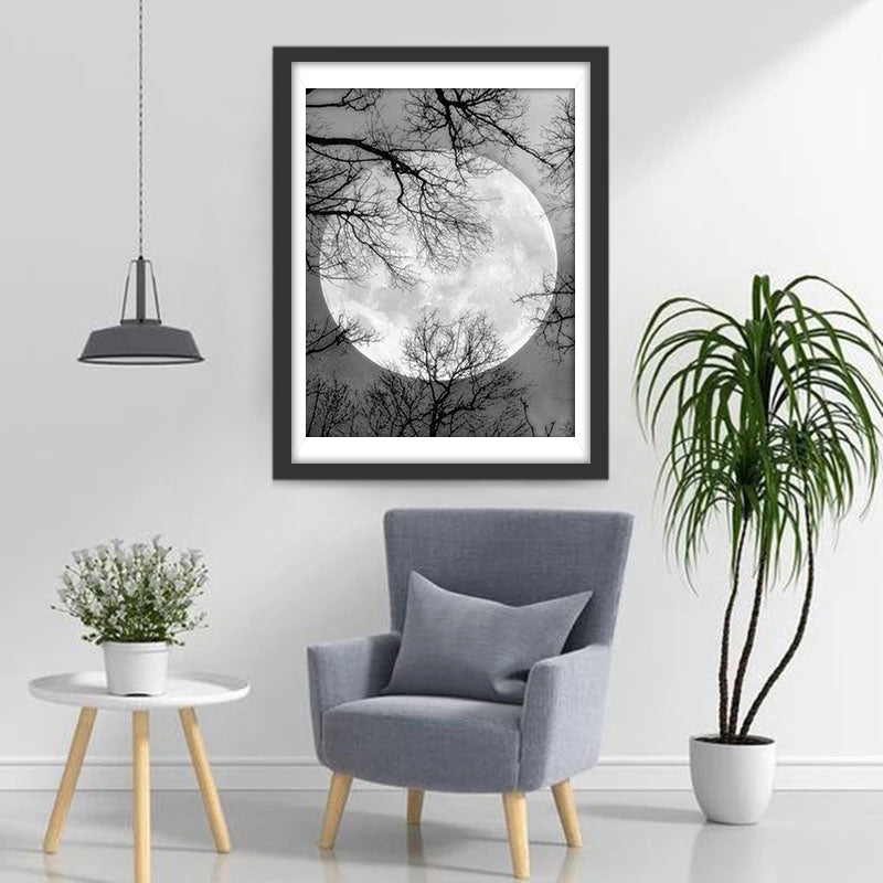 Schwarzweißer Vollmond und Baumschatten Diamond Painting