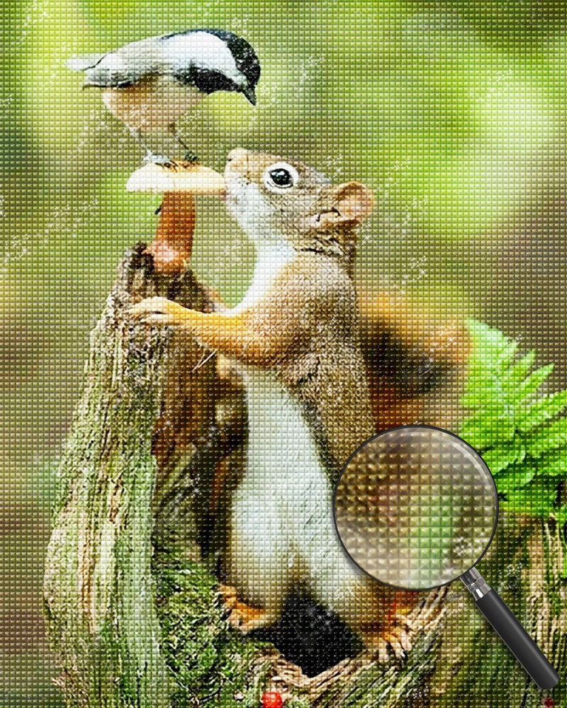 Eichhörnchen und Vogel Diamond Painting