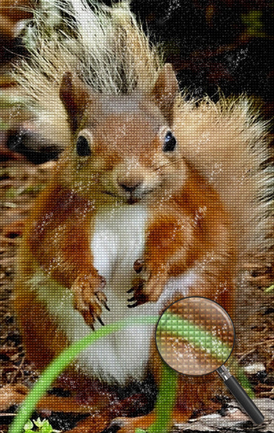 Süßes Eichhörnchen Diamond Painting