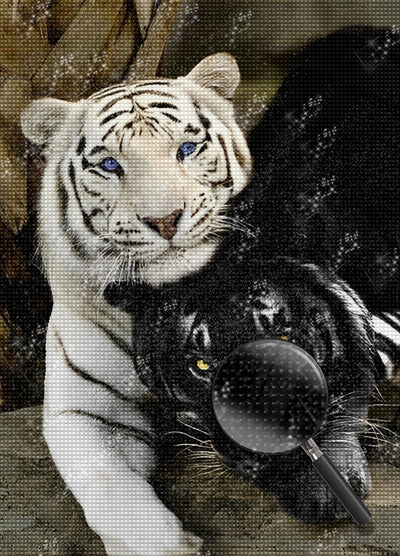 Weißer Tiger und schwarzer Tiger Diamond Painting