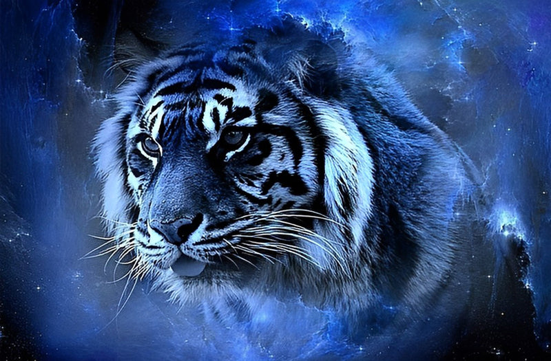 Tiger am blauen Sternenhimmel Diamond Painting