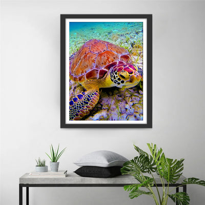 Bunte Schildkröte Diamond Painting