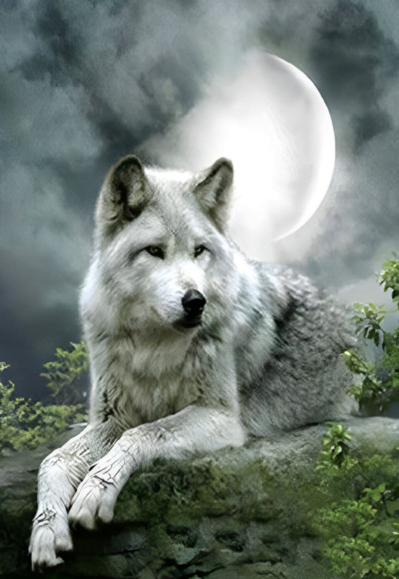 Wolf auf Felsen Diamond Painting