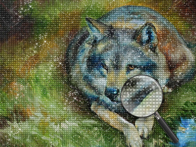 Wolf auf der Wiese Diamond Painting