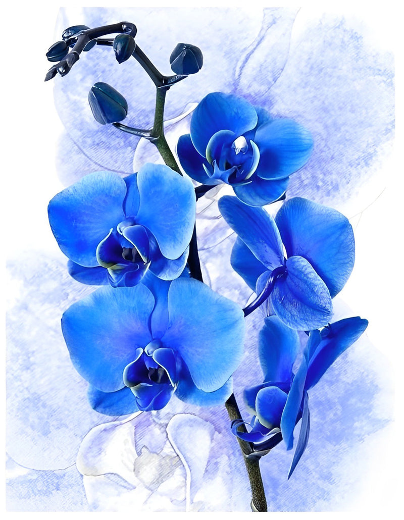 Blaue Phalaenopsis Diamond Painting