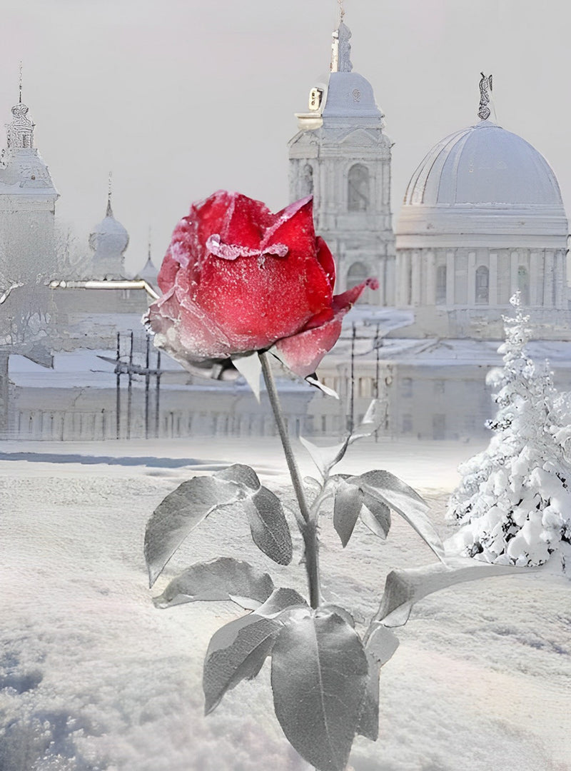 Rote Rose im Schnee Diamond Painting