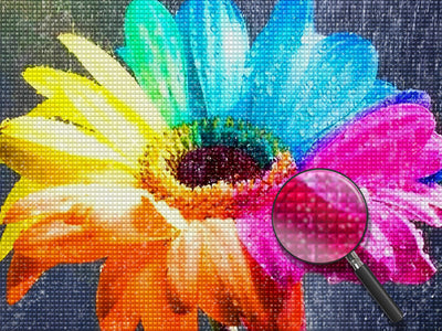 Regenbogen-Gänseblume und Tautropfen Diamond Painting