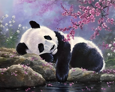 Panda auf Felsen Diamond Painting