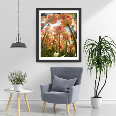 Tulpen Diamond Painting