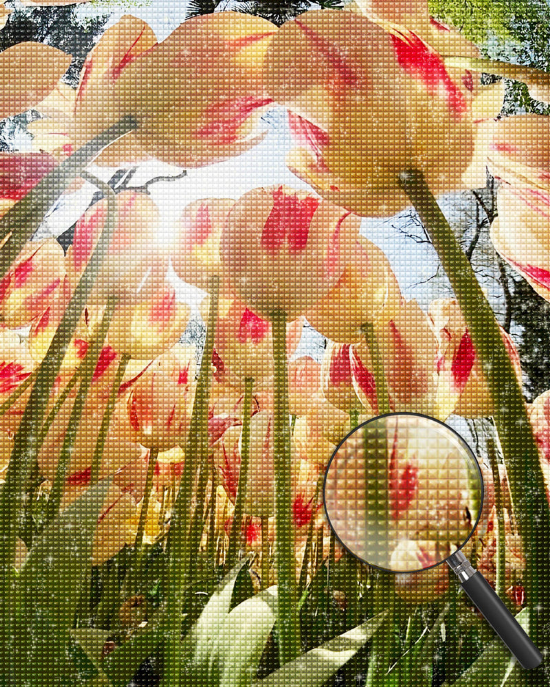 Tulpen Diamond Painting