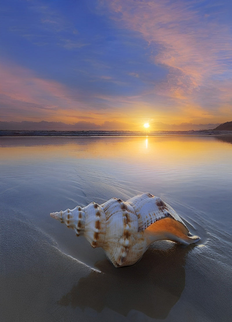 Meeresschnecke am Strand und Sonnenaufgang Diamond Painting