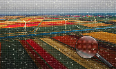 Niederländisches farbiges Tulpenfeld Diamond Painting