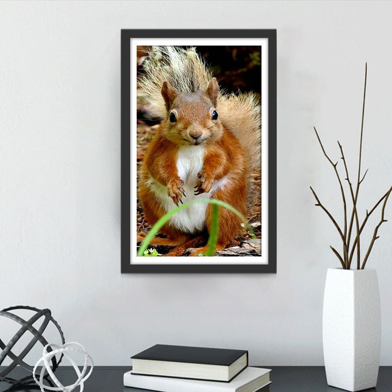 Süßes Eichhörnchen Diamond Painting