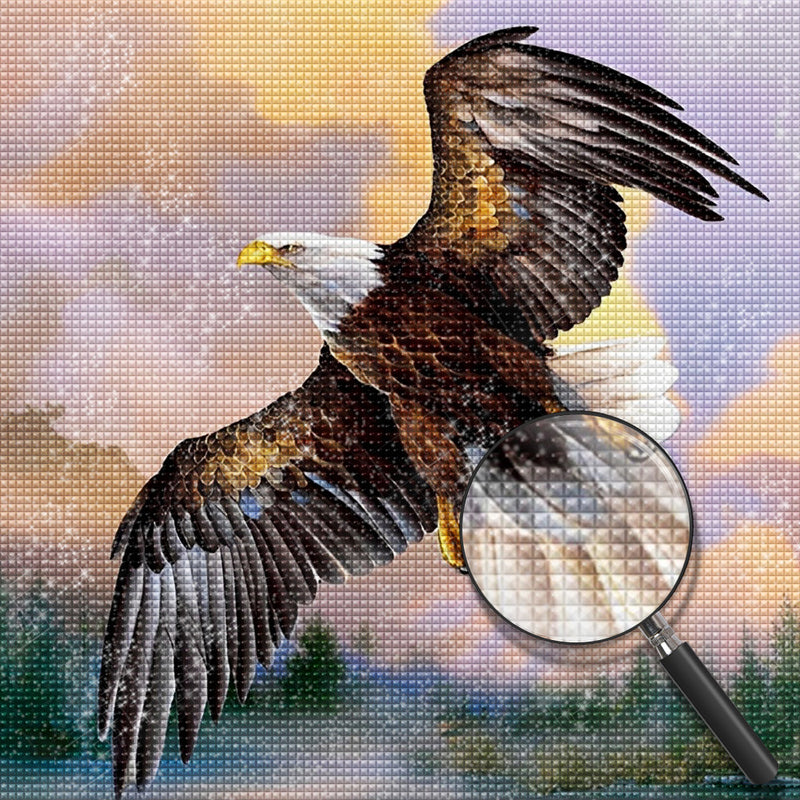 Adler am Himmel Diamond Painting