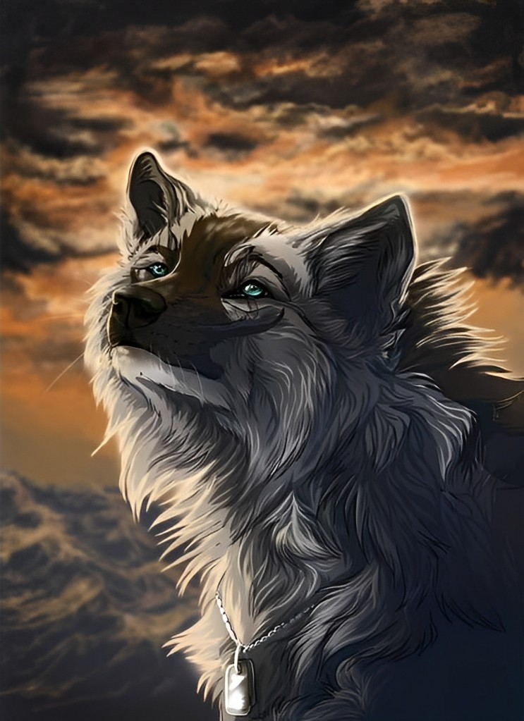 Alter Wolfskönig Diamond Painting