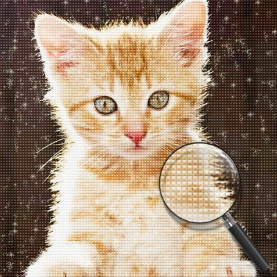 Baby orange Katze Diamond Painting