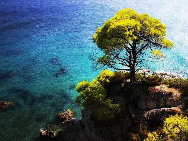 Baum am Meer Diamond Painting