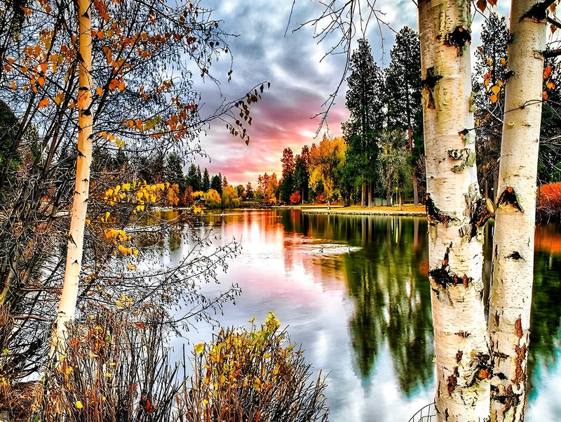 Birke und See im Herbst Diamond Painting