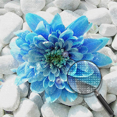 Blaue Chrysantheme auf weißen Steinen Diamond Painting