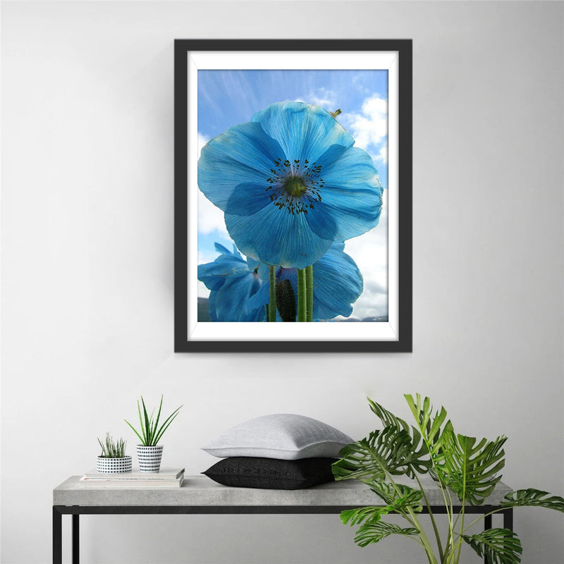 Blaue Mohnblume Diamond Painting