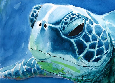 Blaue Schildkröte Diamond Painting