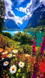 Blumen und Pflanzen im Tal Diamond Painting