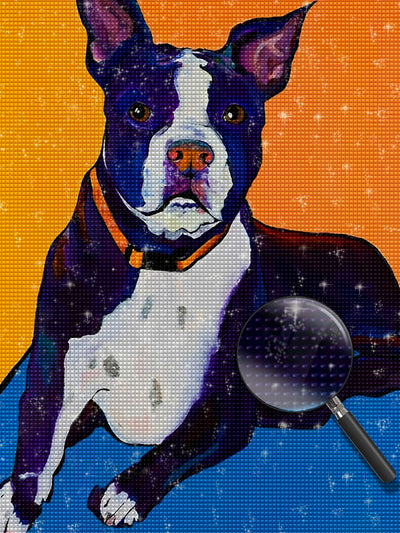 Boston Terrier auf orange Hintergrund Diamond Painting