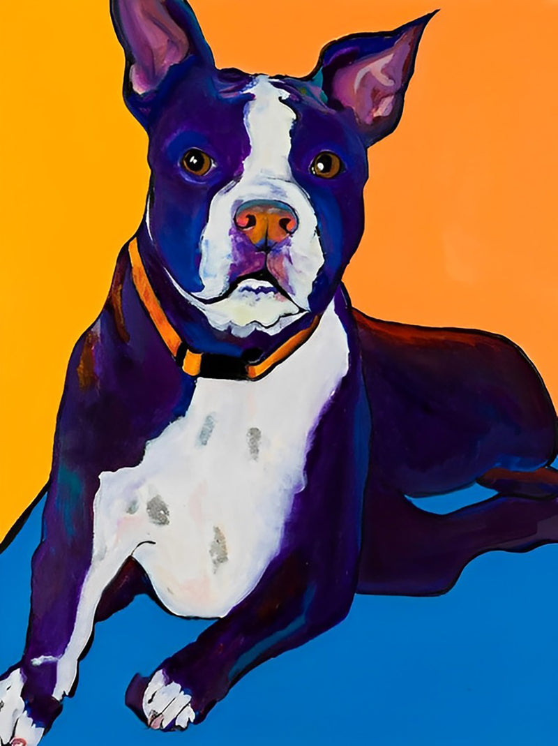 Boston Terrier auf orange Hintergrund Diamond Painting