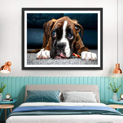 Boxer auf dem Teppich Diamond Painting