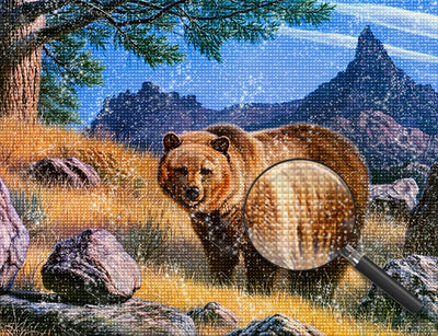 Braunbär auf dem Gras Diamond Painting