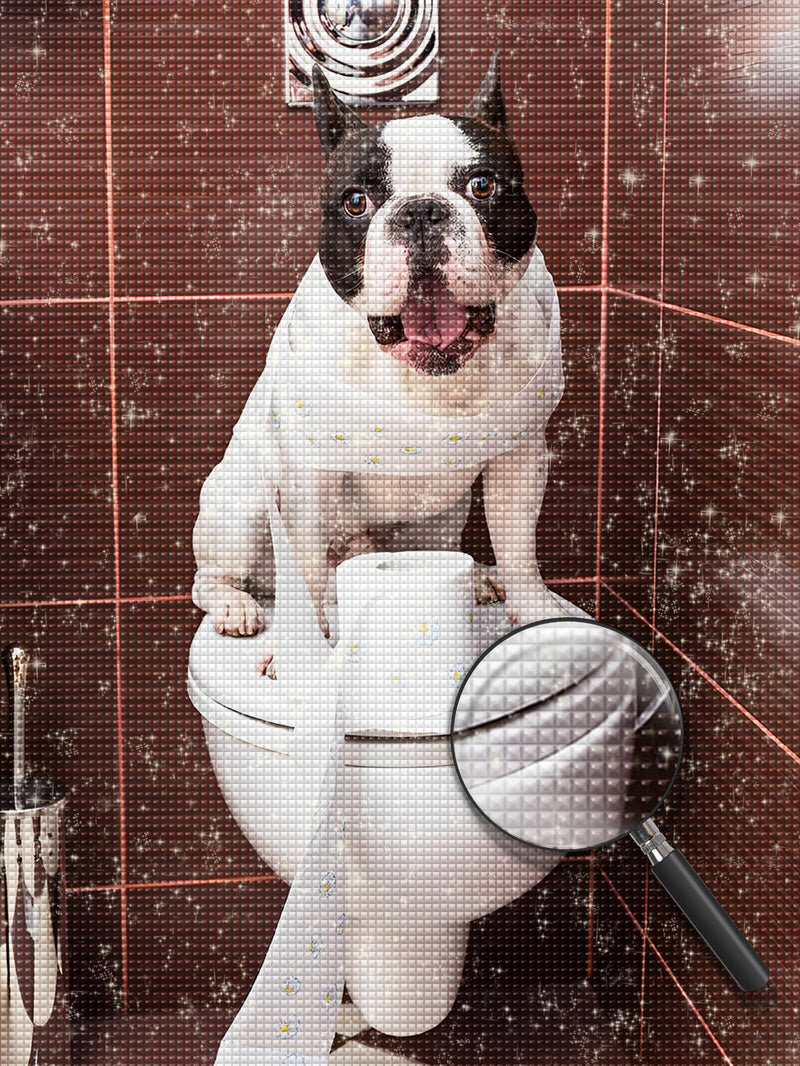 Bulldogge auf dem Lokus Diamond Painting