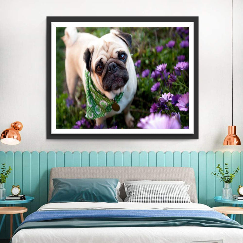 Bulldogge auf der Wiese Diamond Painting