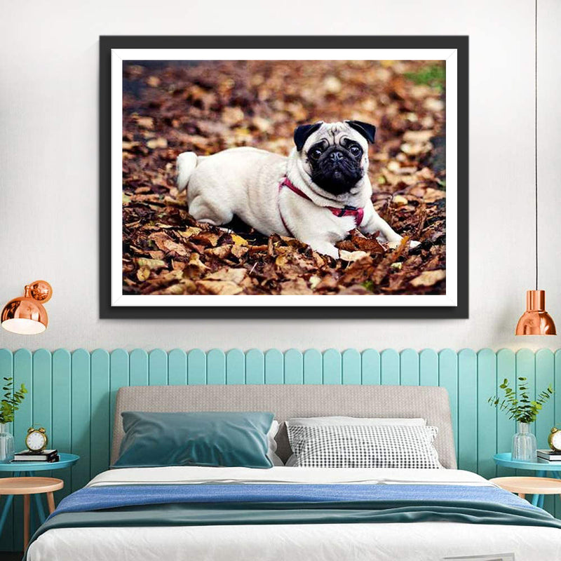 Bulldogge auf toten Blättern Diamond Painting