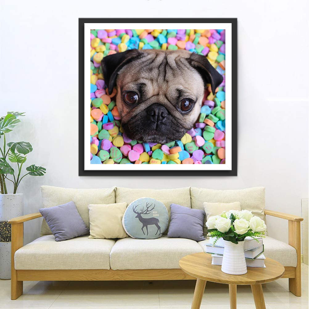 Bulldogge in bunten Bonbons Diamond Painting