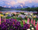 Bunte Blumen und Berge Diamond Painting