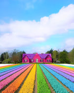 Bunte Blumen und Hütte Diamond Painting