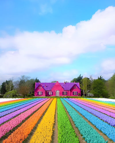 Bunte Blumen und Hütte Diamond Painting