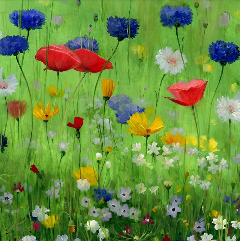 Bunte Mohnblumen und Gänseblümchen Diamond Painting