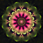 Chrysantheme Mandala Diamond Painting