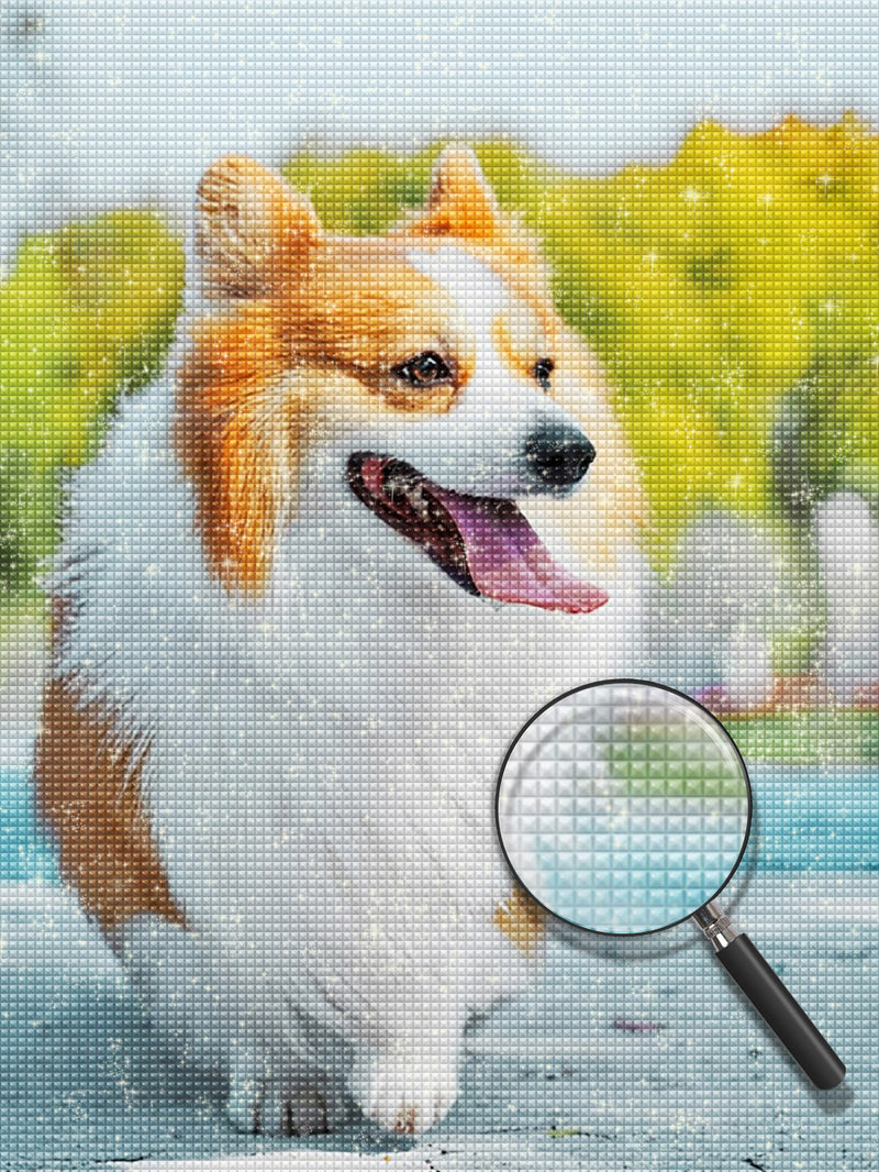 Corgi auf der Straße Diamond Painting