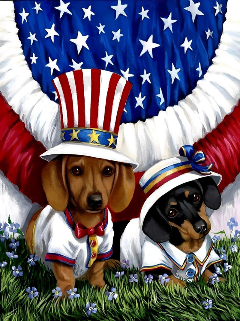 Dachshunde und amerikanische Flagge Diamond Painting