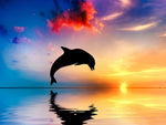 Delfin bei Sonnenuntergang Diamond Painting