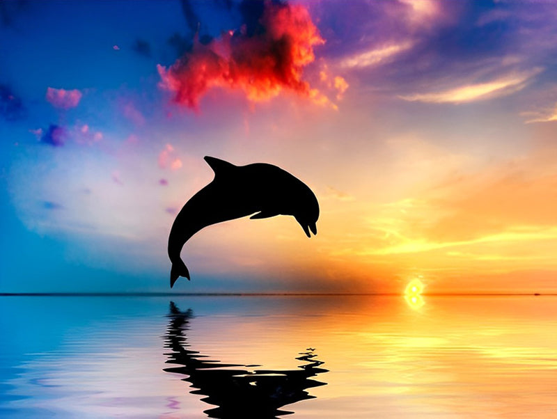 Delfin bei Sonnenuntergang Diamond Painting