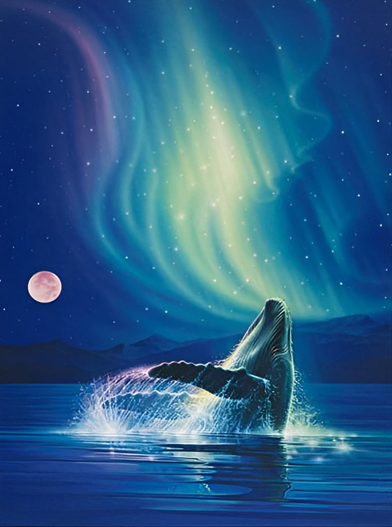 Delfin und Polarlicht Diamond Painting