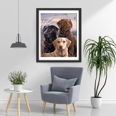 Drei Hunde Diamond Painting