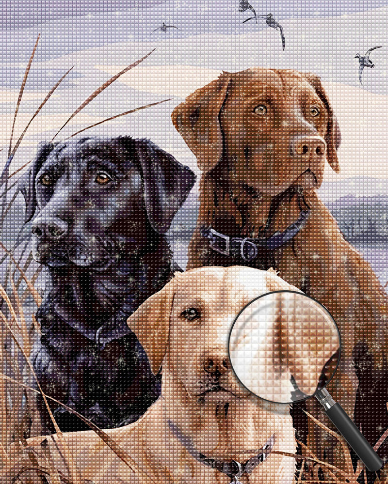 Drei Hunde Diamond Painting