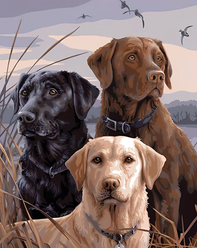 Drei Hunde Diamond Painting