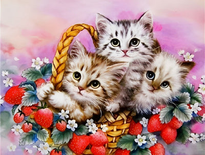 Drei Katzen und Erdbeeren Diamond Painting