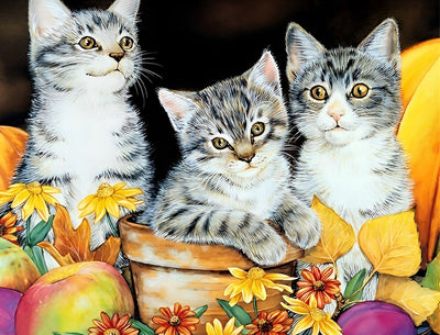 Drei Katzen und gelbe Blumen Diamond Painting